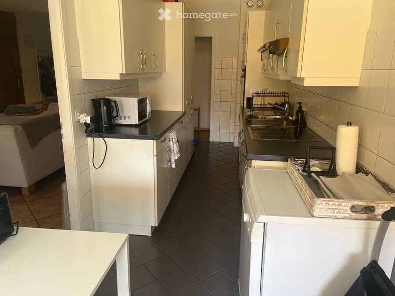 Bright 4-Room Apartment with Balcony, Petit-Saconnex Geneva (3)
