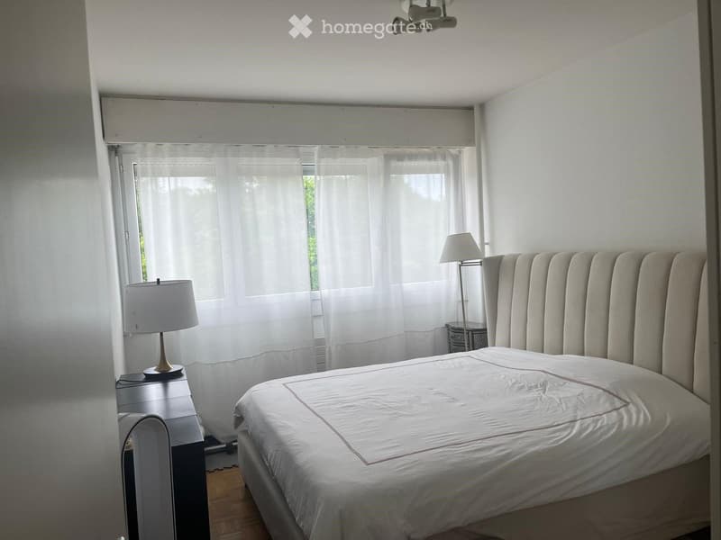 Bright 4-Room Apartment with Balcony, Petit-Saconnex Geneva (5)