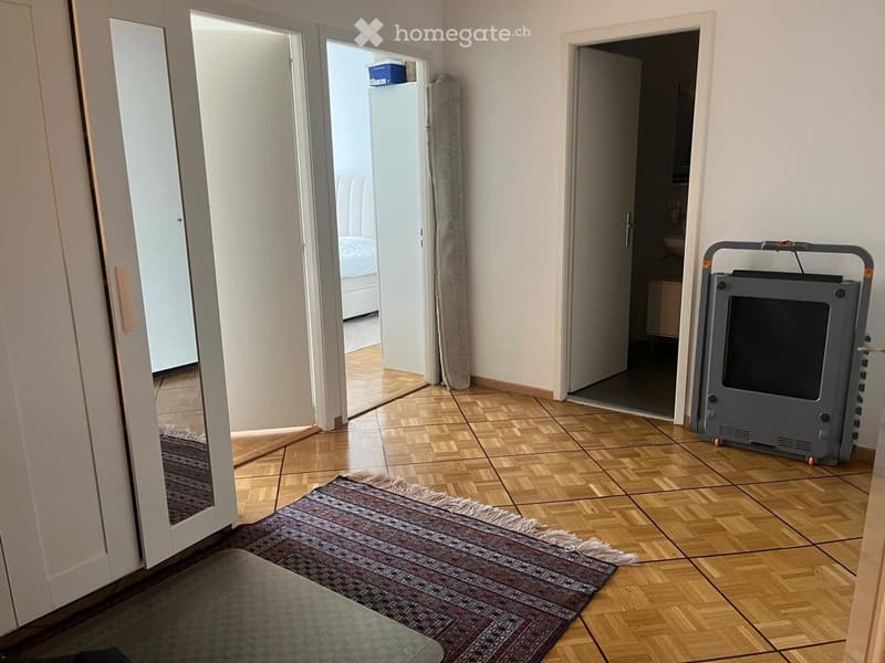 Bright 4-Room Apartment with Balcony, Petit-Saconnex Geneva (4)