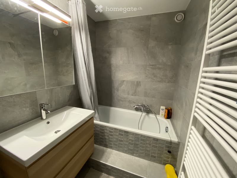 Veysonnaz Appartement vacances (5)