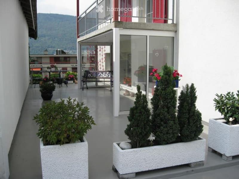 Schöne 3,5 Zimmerwohnung zu vermieten mit Balkon+Terrasse (5)