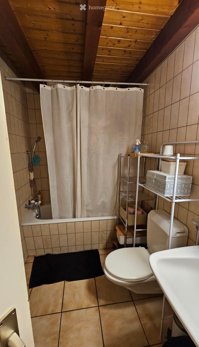 appartement 4.5 puidoux (5)