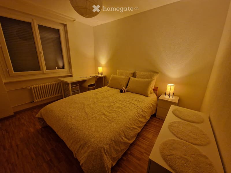 Appartement de 3 pièces au 1 étage disponible dès le 01.09. (5)