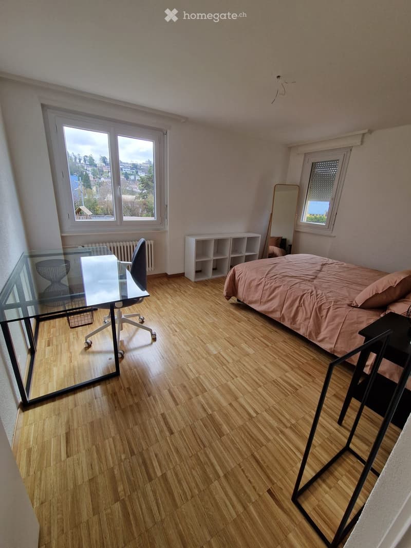 Appartement de 3 pièces au 1 étage disponible dès le 01.09. (3)
