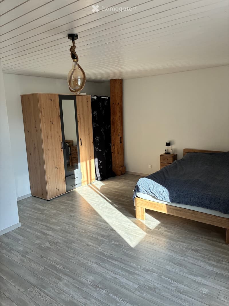 Grand appartement 4.5 pièces avec cachet (3)