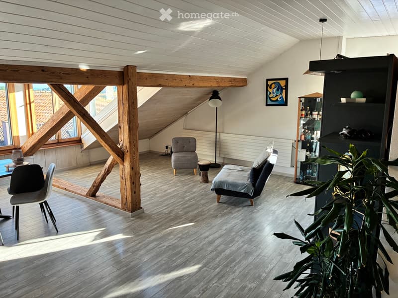 Grand appartement 4.5 pièces avec cachet (4)