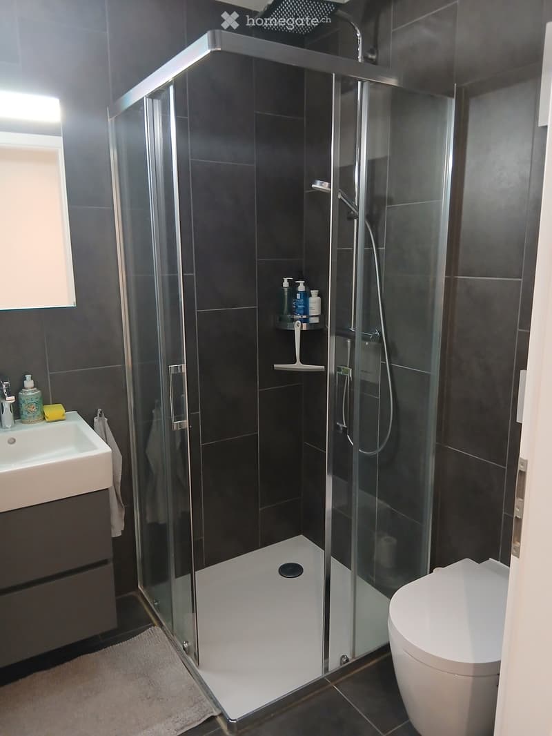 Appartement 3.5 pièces de 80 m² à Châtel-St-Denis (10)