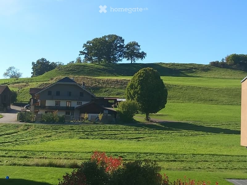 Appartement 3.5 pièces de 80 m² à Châtel-St-Denis (12)