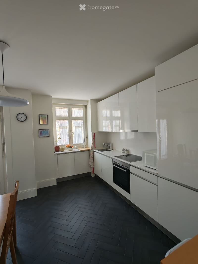 Magnifique 3.5 appartement au coeur de Lausanne + vue au lac (5)
