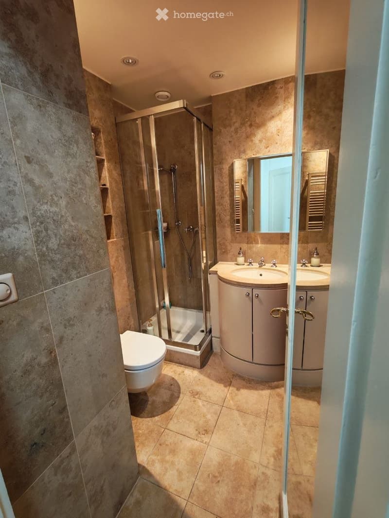 Magnifique 3.5 appartement au coeur de Lausanne + vue au lac (3)