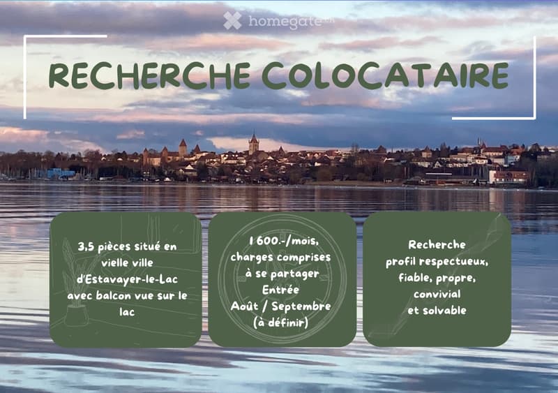 Recherche un(e) colocataire 3,5 pièces en vieille ville (8)