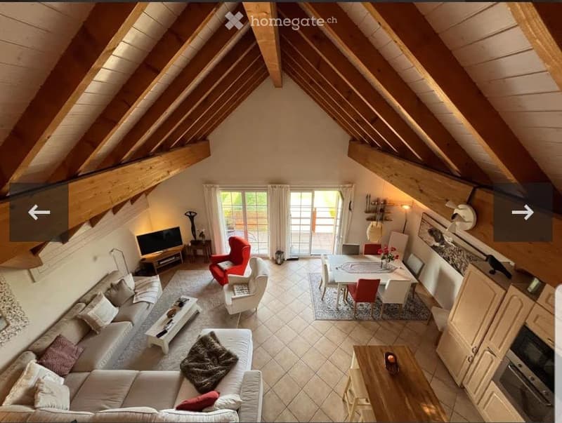 Magnifique appartement avec mezzanine, balcon et terrasse (4)