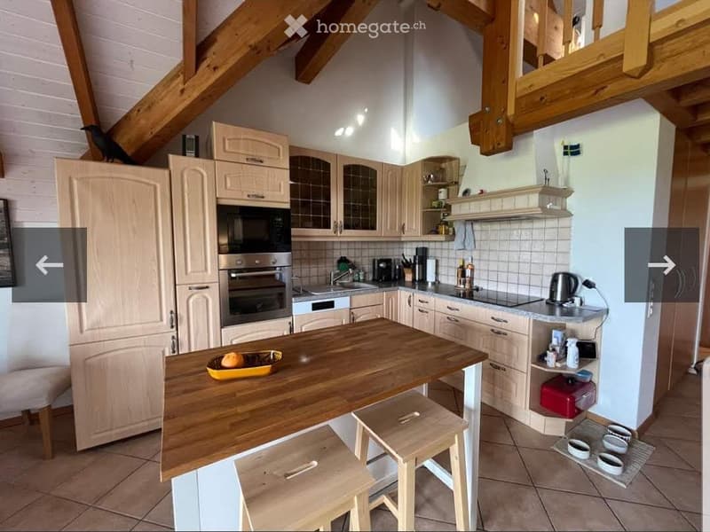 Magnifique appartement avec mezzanine, balcon et terrasse (2)