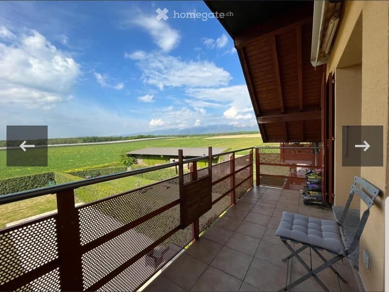 Magnifique appartement avec mezzanine, balcon et terrasse (1)