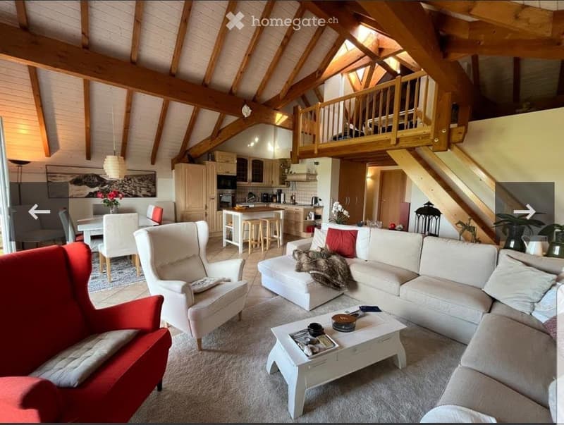 Magnifique appartement avec mezzanine, balcon et terrasse (3)