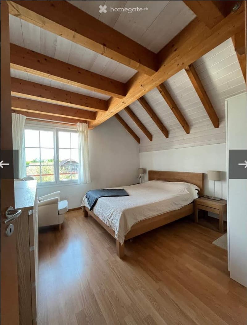 Magnifique appartement avec mezzanine, balcon et terrasse (5)