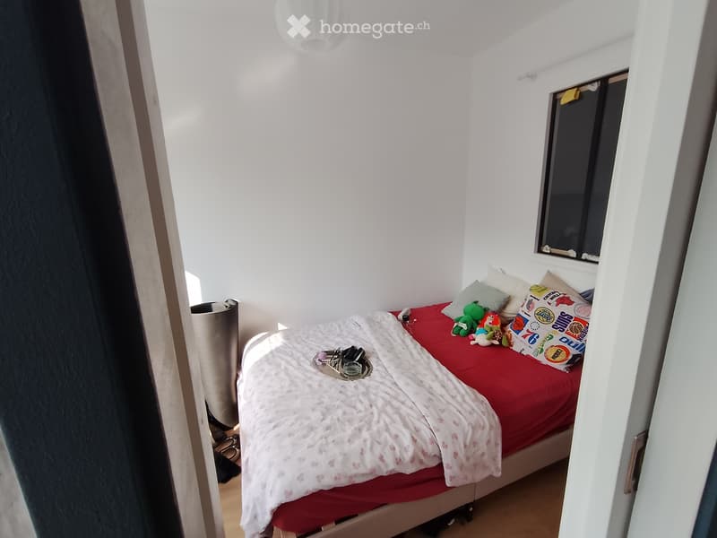 Recherche collocatrice sur Genève, chambre a louer (2)