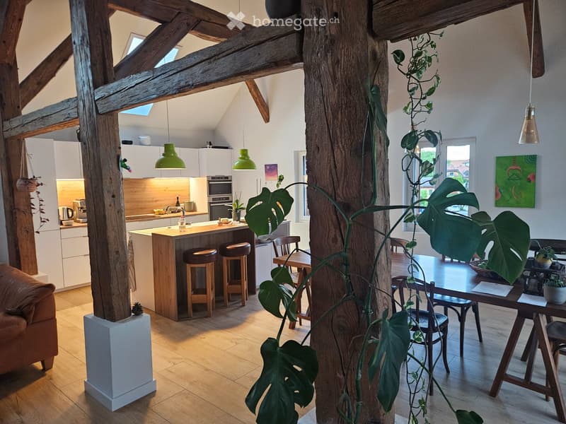 Chambre chez l'habitant (5)