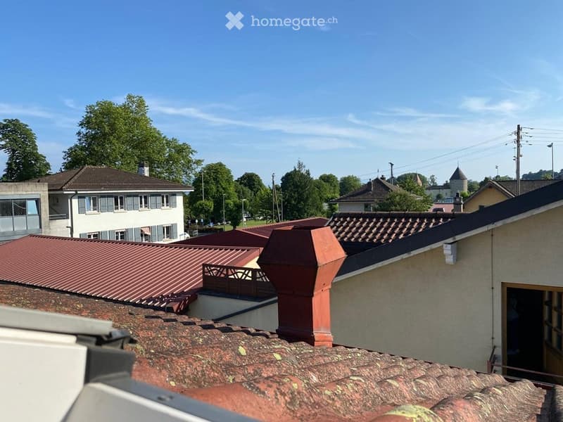 Studio 25m2 avec grenier 30m2 (1)