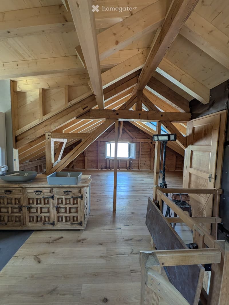 Petit Chalet au bord de la Gérine (4)