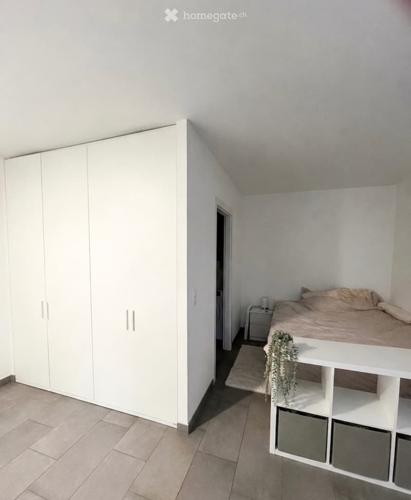 À louer Joli appartement 1.5 pièce avec terrasse à Aproz (4)