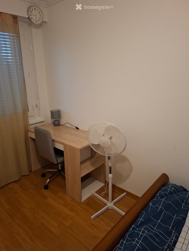 Chambre meublée (4)