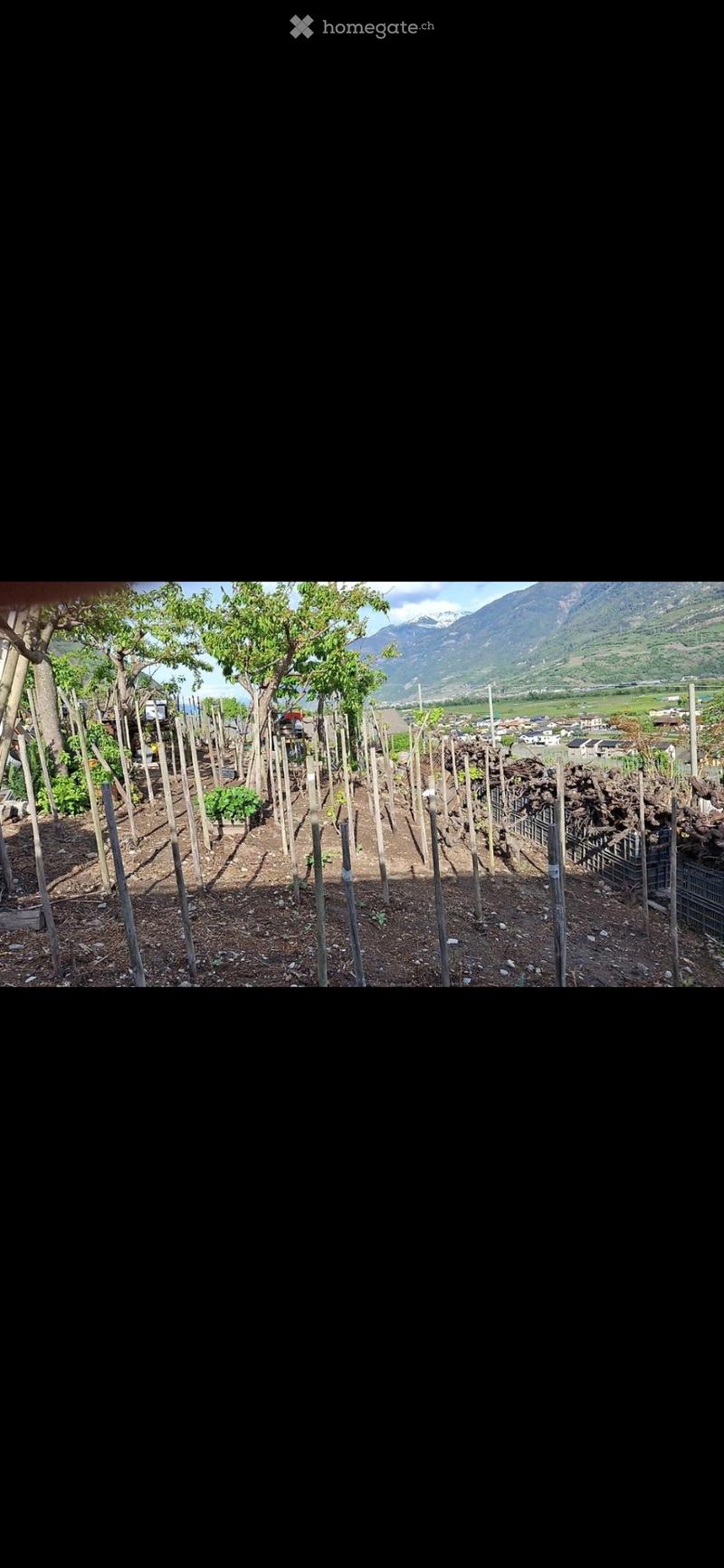 A vendre maison 59 m2 balcon caves vignes (3)