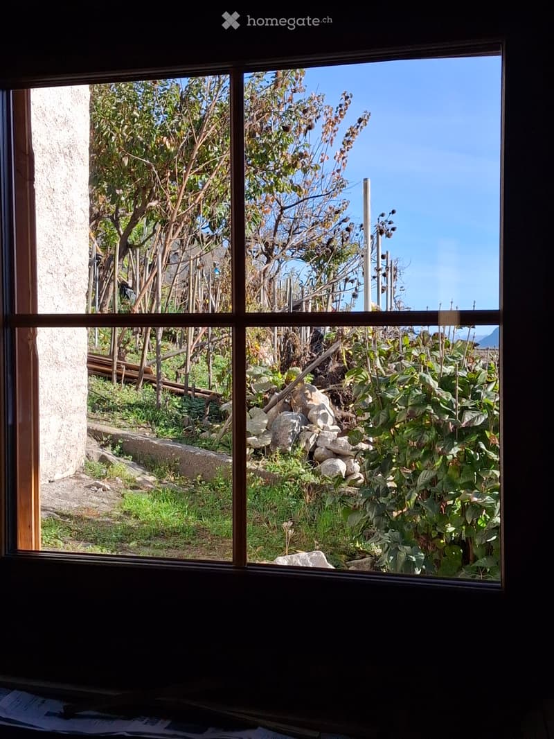 A vendre maison 59 m2 balcon caves vignes (2)