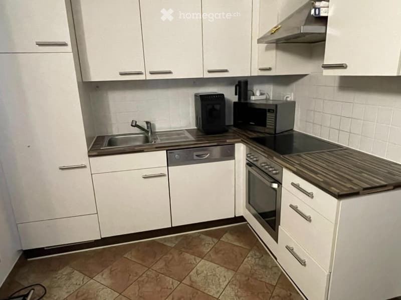 Helle 2 Zimmer WHG in St.Margrethen Sg (3)