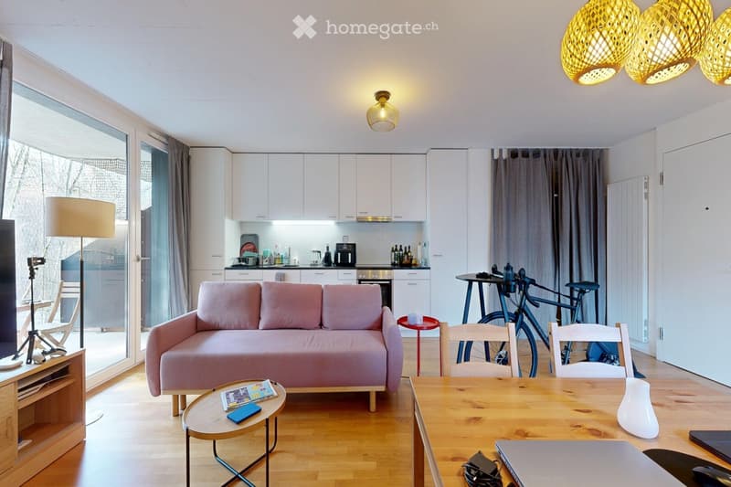 Superbe 2,5 pièces moderne avec terrasse (1)