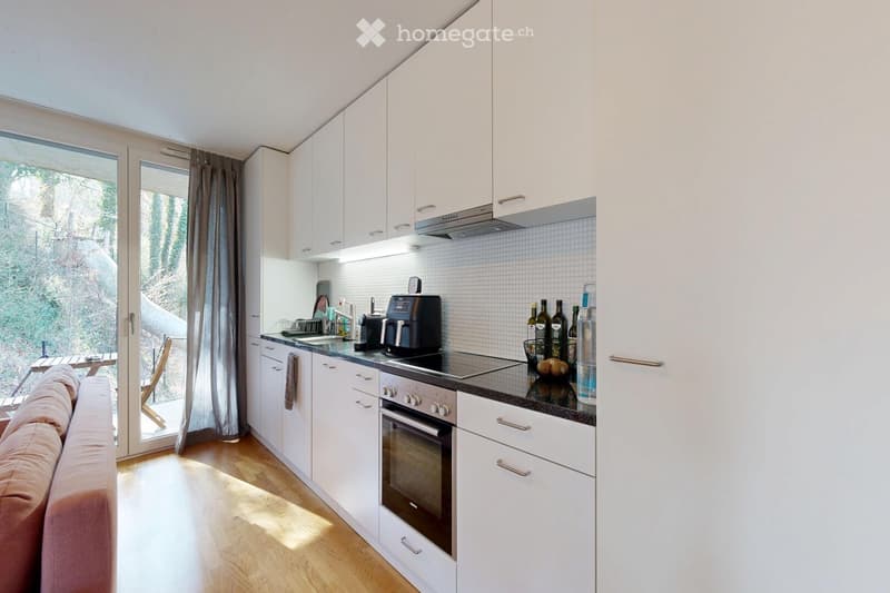 Superbe 2,5 pièces moderne avec terrasse (2)