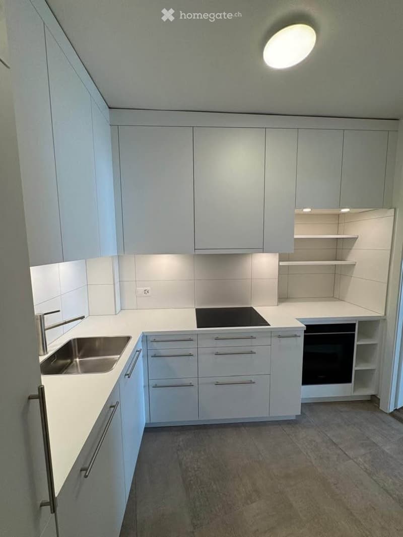 magnifique appartement - 4.5 pièces - Vue lac -Bord de l'eau (4)