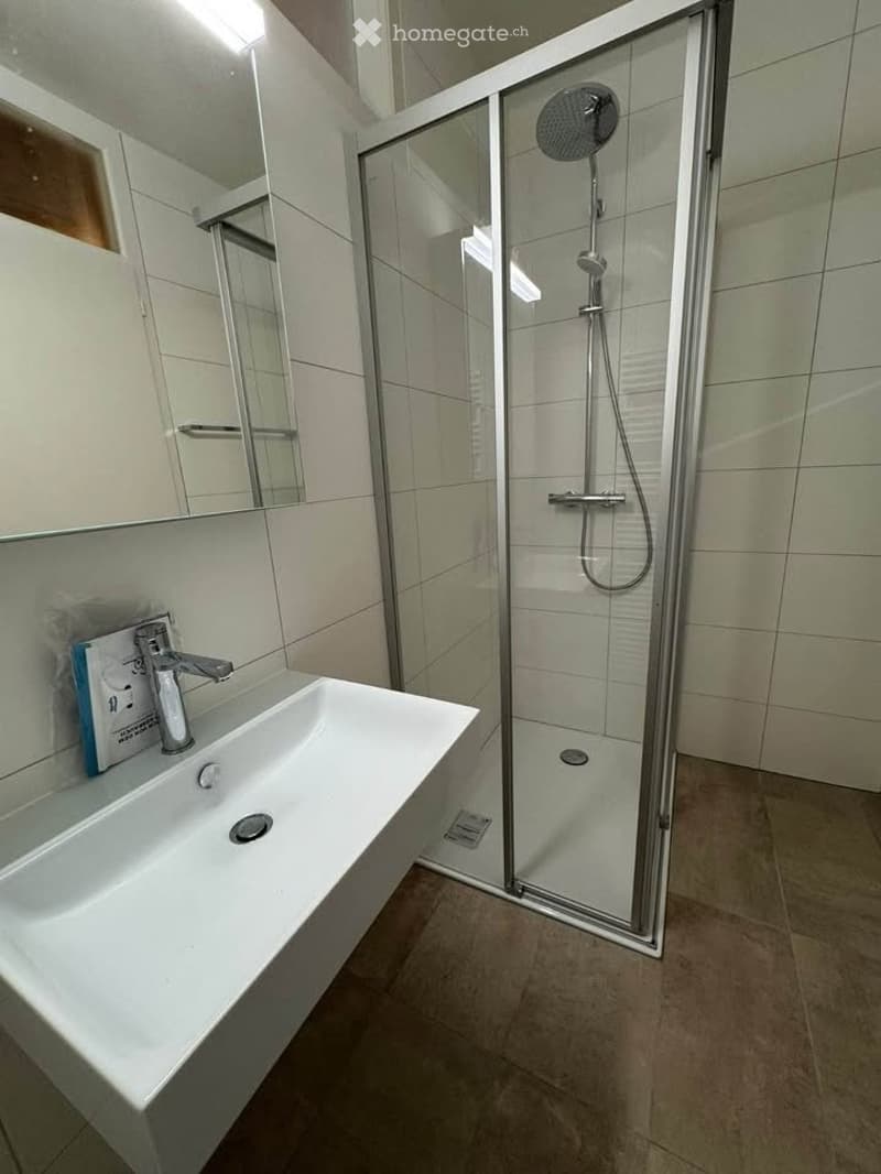 magnifique appartement - 4.5 pièces - Vue lac -Bord de l'eau (10)