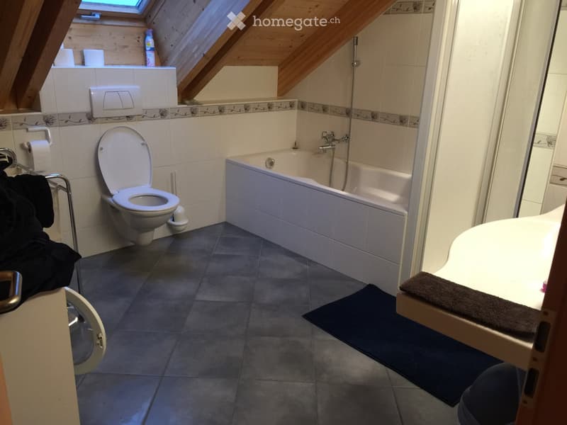 Duplex unique 4 pièces (3 pièces vaudois) Chavannes-de-Bogis (2)