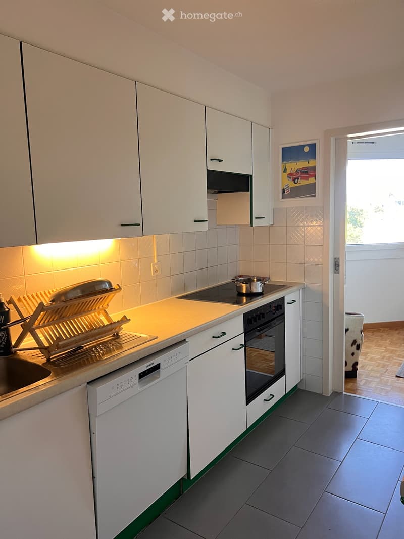 Sous loc Nyon appart LUMINEUX 2 chambres durée déterminée (3)