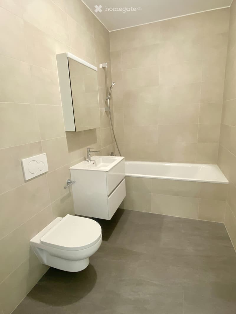 Sion  Studio neuf de 33 m² avec pelouse privative (3)