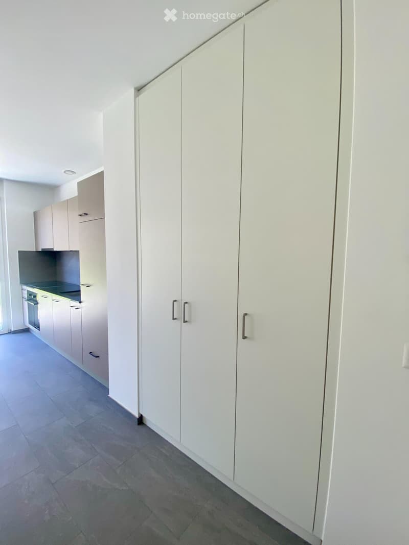 Sion  Studio neuf de 33 m² avec pelouse privative (4)