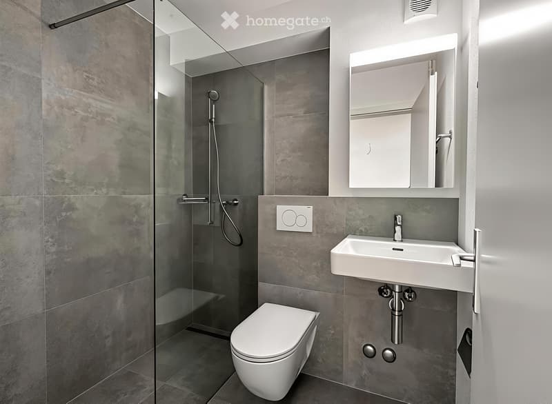 Neu renovierte 3.5-Zimmer-Wohnung in Biel (4)