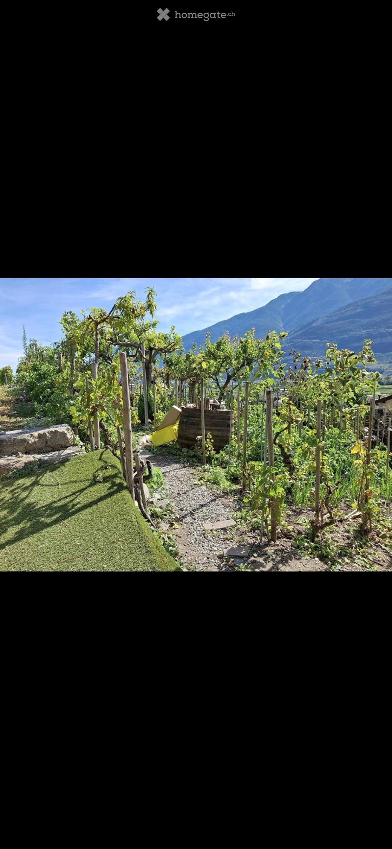 Maison 3 pièces 59 m2 caves balcon vignes (2)