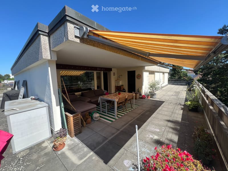 Attique avec vaste terrasse panoramique aux portes de Bâle (5)