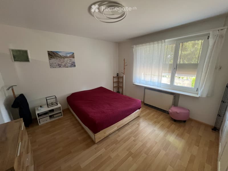 Attique avec vaste terrasse panoramique aux portes de Bâle (3)