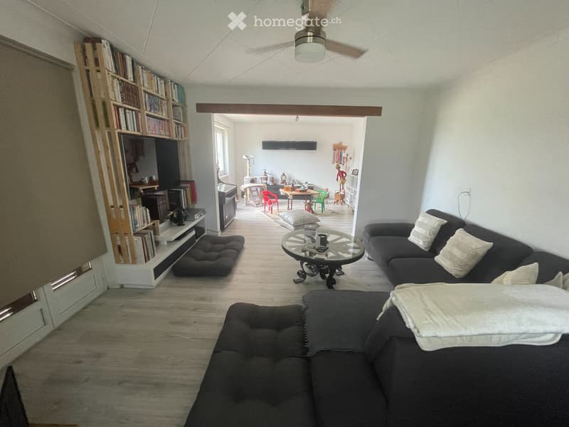Maison individuelle avec grande parcelle attenante (3)