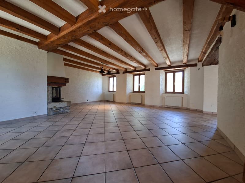 Appartement Duplex (2)