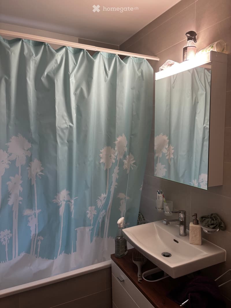 Chambre en colocation (2 personnes au total) (4)