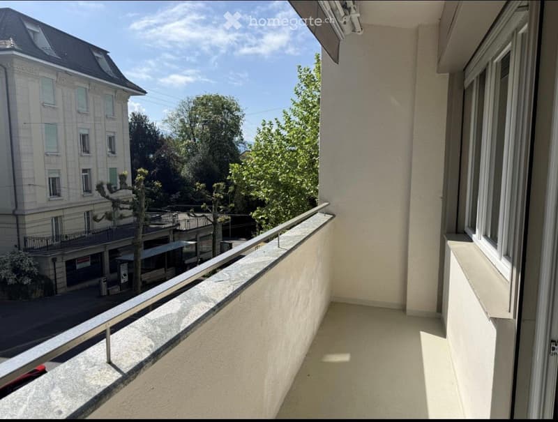 Grand 1.5 pièce meublé - Lausanne-Ouchy (3)