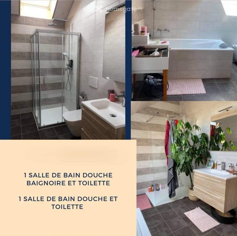 Appartement 4.5 pièces à Montet (Glâne)Charmant et spacieux (5)