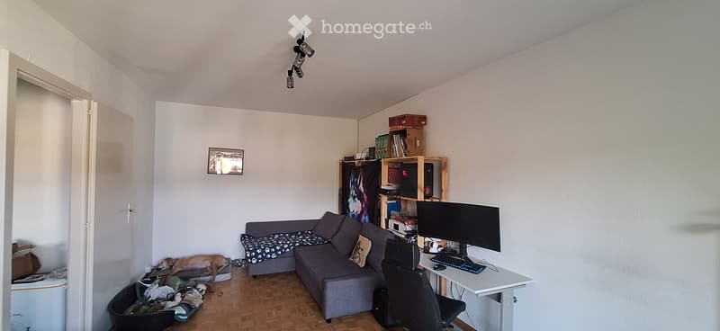 Magnifique appartement à louer pour le 1er septembre (1)