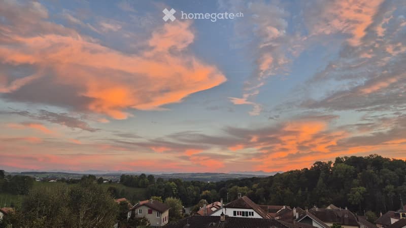 Appartement 3.5 pièces lumineux avec vue panoramique (5)