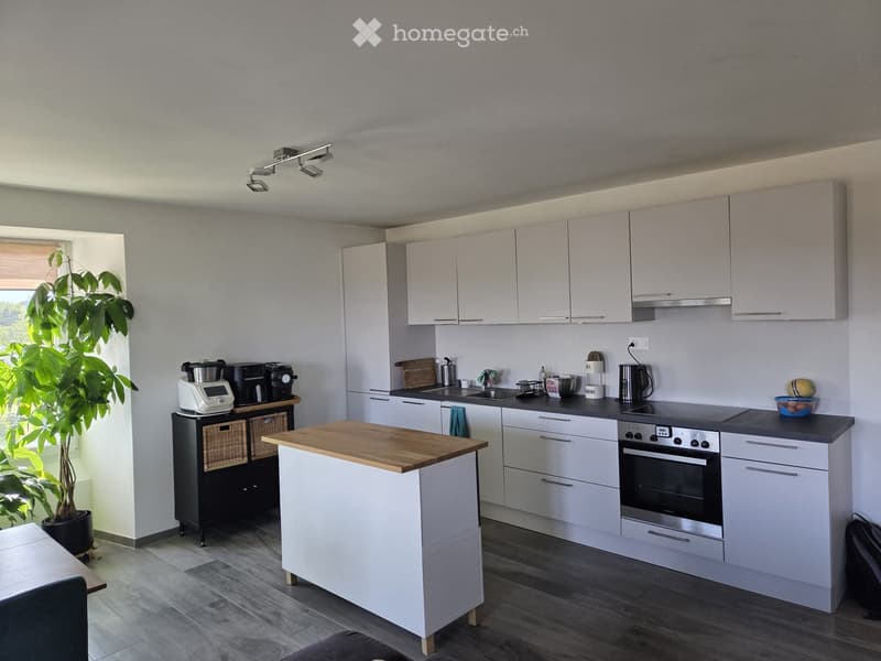 Appartement 3.5 pièces lumineux avec vue panoramique (2)