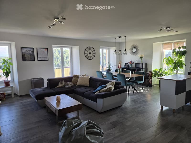 Appartement 3.5 pièces lumineux avec vue panoramique (1)